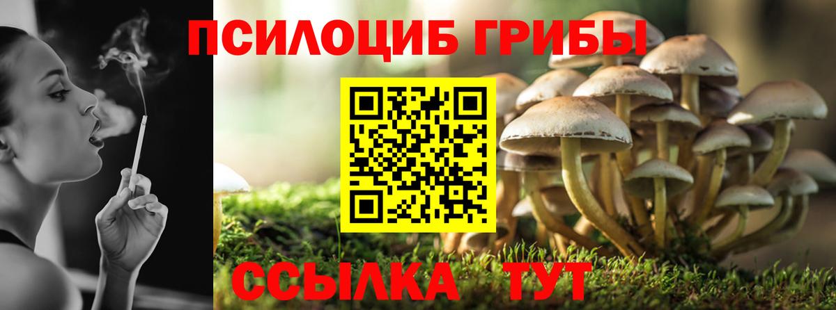 Псилоцибиновые грибы ЛСД  где продают наркотики  Вичуга  Вход с VPN 